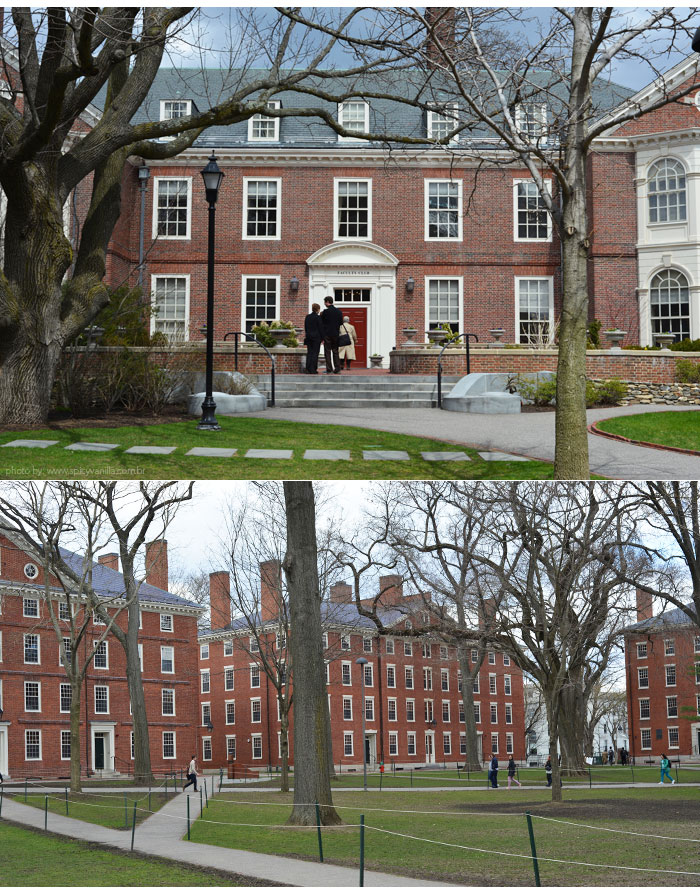 boston_harvard_arquitetura