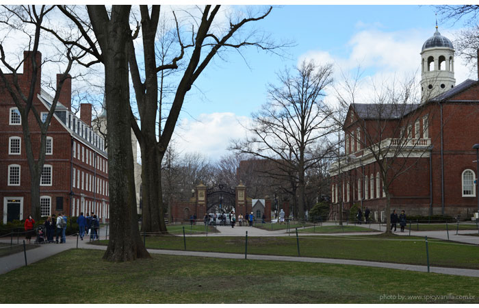 boston_harvard_entrada