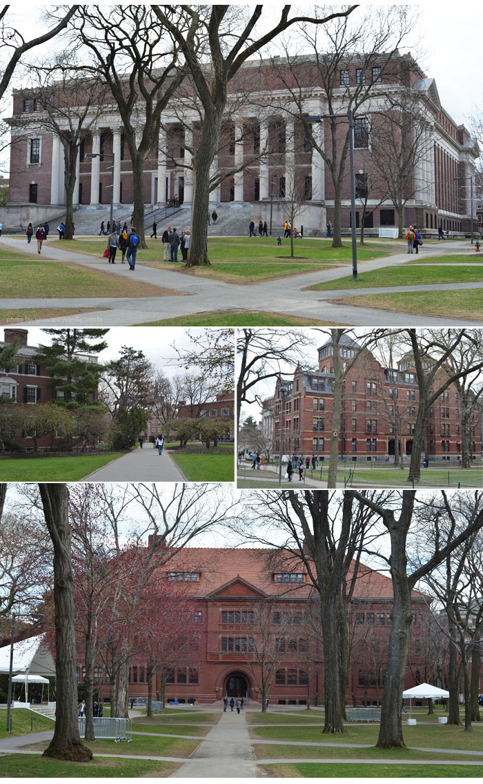 boston_harvard_predios