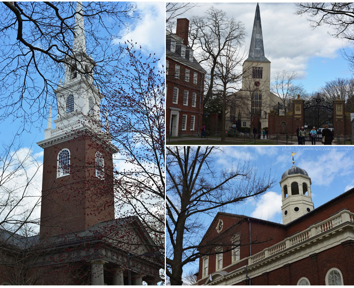 boston_harvard_torres