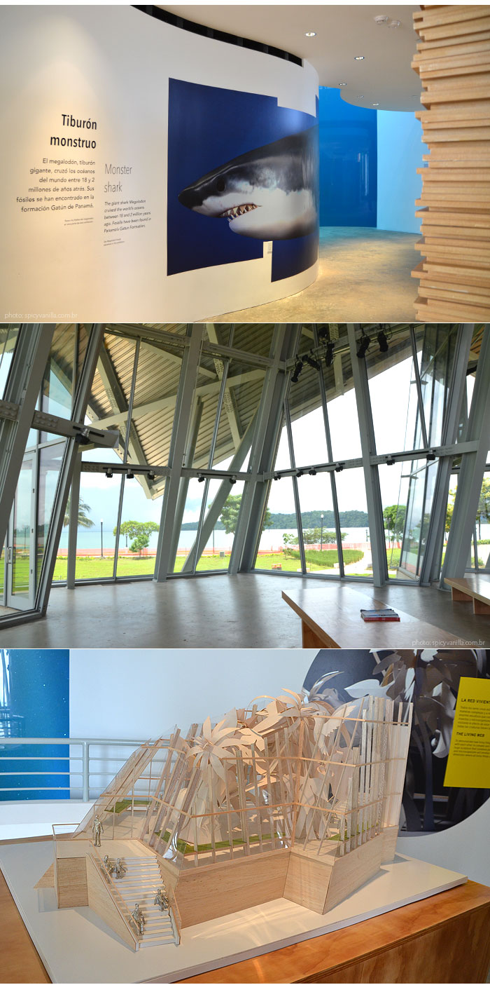biomuseo_panama-tiburon