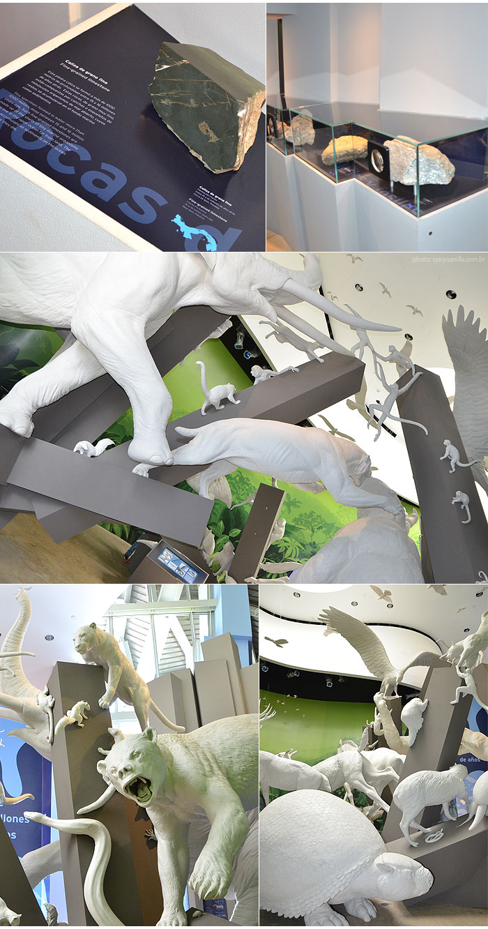 biomuseo_panama_animais
