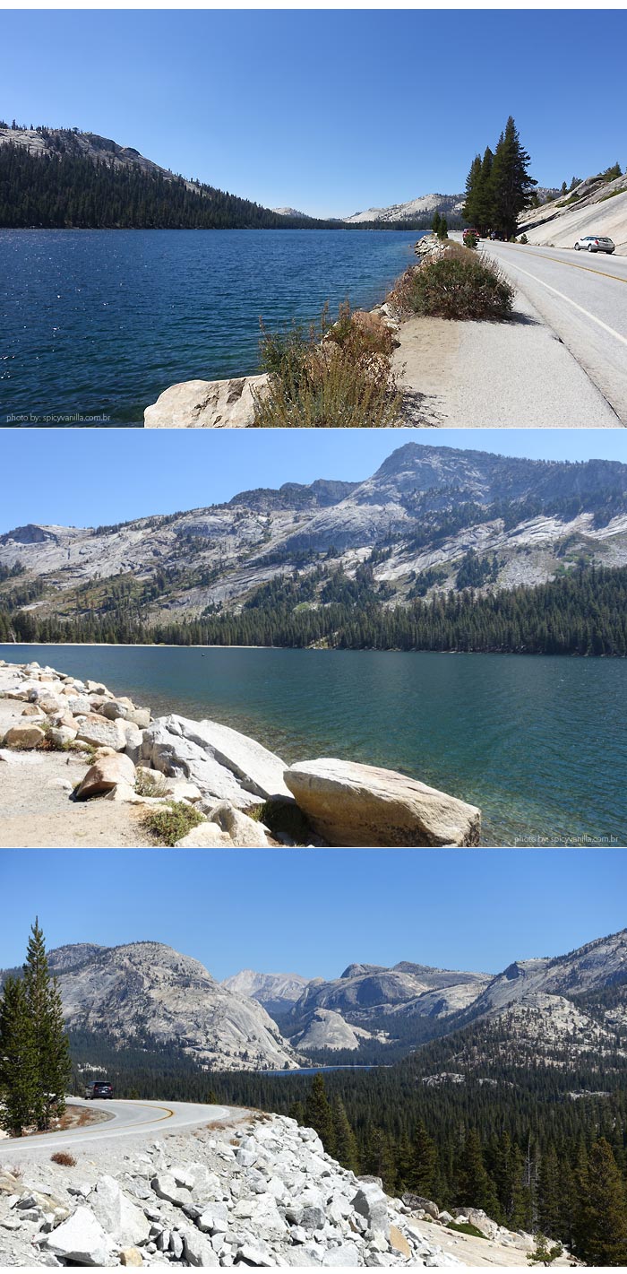 yosemite-lagos-tioga