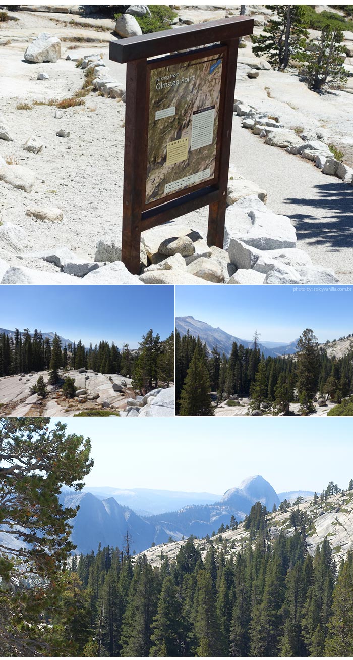 yosemite-olmsted-point
