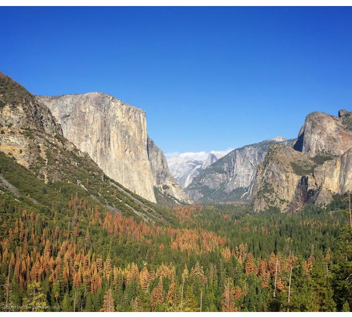 yosemite-tunnel-view