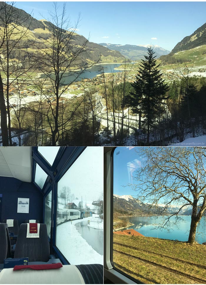 Dicas da Suíça: Trem GoldenPass Lucerna - Interlaken ~ O Viajante Comilão